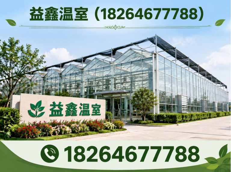 潍坊滨海经济技术开发区无土栽培大棚展示图