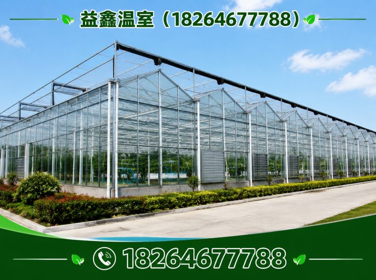 潍坊滨海经济技术开发区智能温室大棚展示图