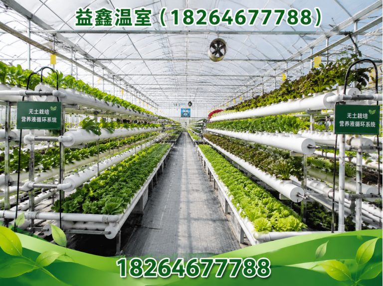 潍坊滨海经济技术开发区益鑫温室展示图