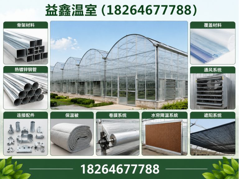 潍坊滨海经济技术开发区温室建造厂家展示图